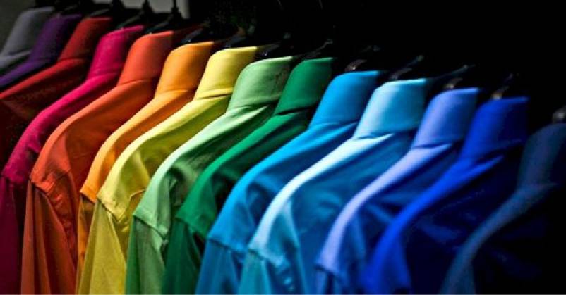 multicolor and multi style polo shirts