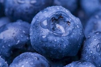 blueberry