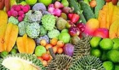 summer colorful fruits
