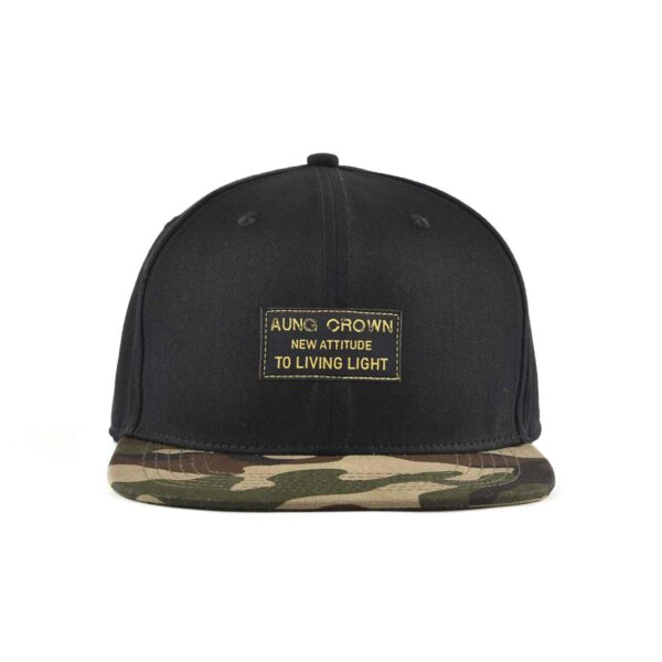 Vintage snapbacks