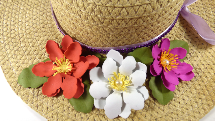 Color Designs in Hat Designs