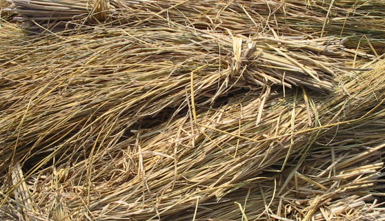 Natural Straws - hat materials