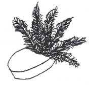 Pillbox hat